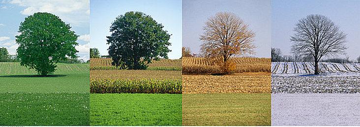 《大侠立志传》全新DLC《倩影萍踪》发售，新增自创武学功能